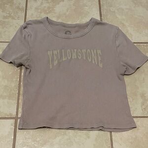 Yellowstone Graphic Crop Top - Gray